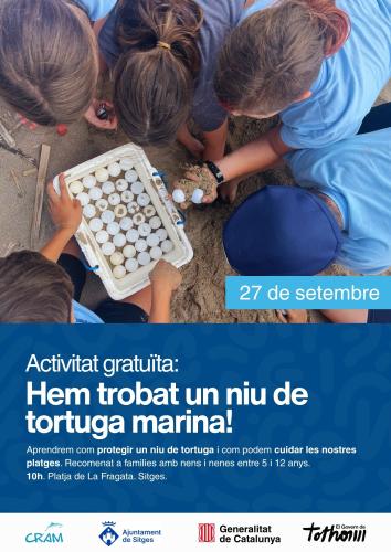 taller niu tortuga
